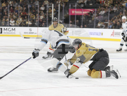 Utah Golden Knights Hockey