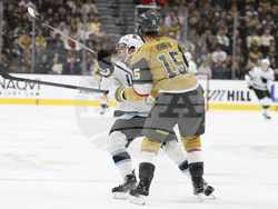 Utah Golden Knights Hockey