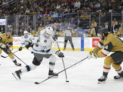 Utah Golden Knights Hockey