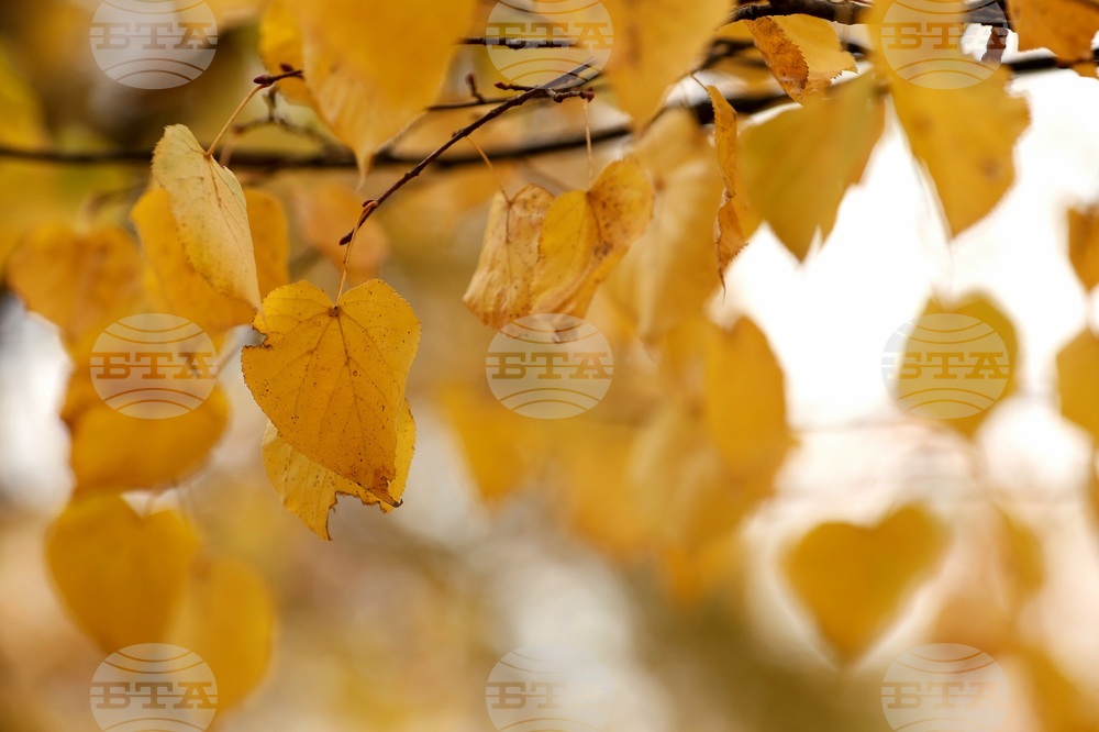 Парк „Борисова градина” - есенно утро