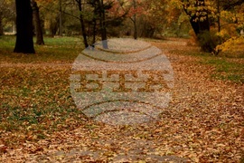 Парк „Борисова градина” - есенно утро