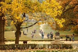 Парк „Борисова градина” - есенно утро