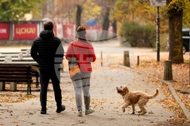 Парк „Борисова градина” - есенно утро