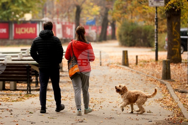 Парк „Борисова градина” - есенно утро