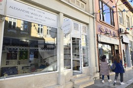 Враца - Александър Василев-Василевса - галерия