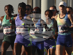 NYC Marathon