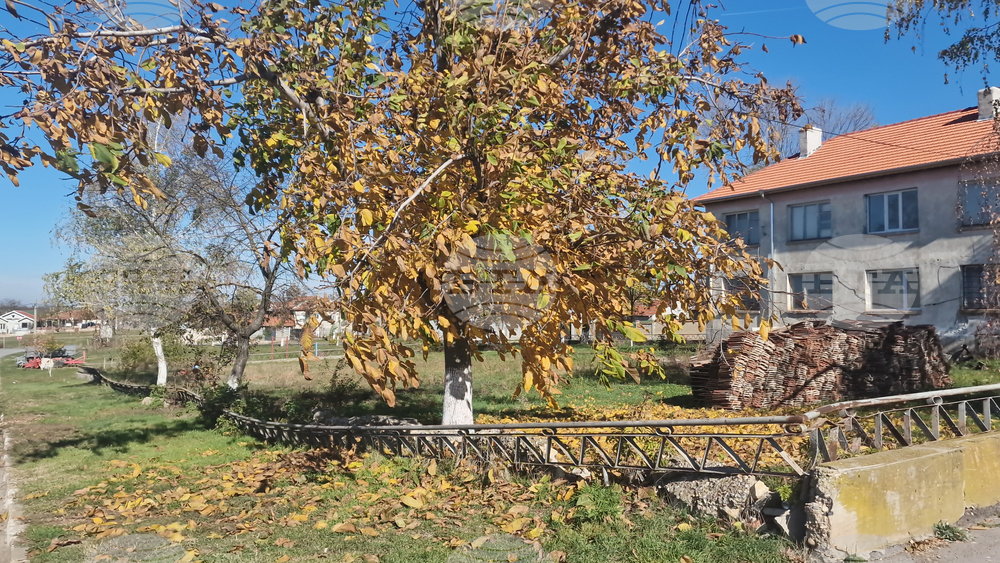 Село Лъвино - година от природно бедствие