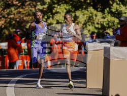 NYC Marathon