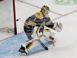 Kraken Bruins Hockey