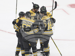 Kraken Bruins Hockey