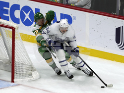 Maple Leafs Wild Hockey