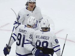 Maple Leafs Wild Hockey