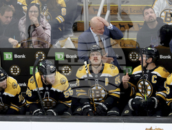 Kraken Bruins Hockey