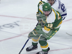 Maple Leafs Wild Hockey