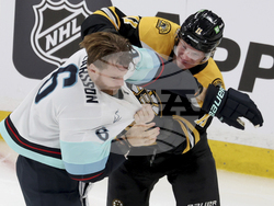 Kraken Bruins Hockey
