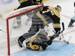 Kraken Bruins Hockey