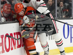 Blackhawks Ducks Hockey