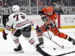 Blackhawks Ducks Hockey