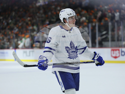 Maple Leafs Wild Hockey