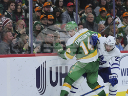 Maple Leafs Wild Hockey