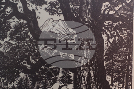 Плевен - галерия „Илия Бешков” - изложба