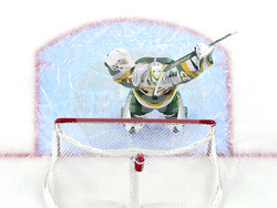 Maple Leafs Wild Hockey