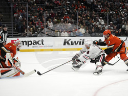 Blackhawks Ducks Hockey