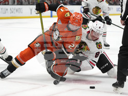Blackhawks Ducks Hockey