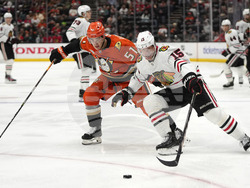 Blackhawks Ducks Hockey