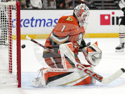 Blackhawks Ducks Hockey