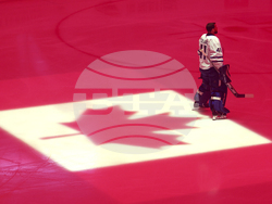 Maple Leafs Wild Hockey