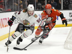 Blackhawks Ducks Hockey