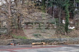 Габрово - силен вятър - щети