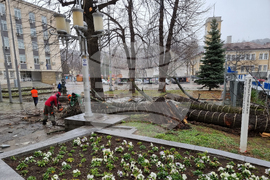 Габрово - силен вятър - щети