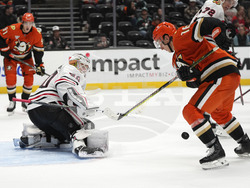 Blackhawks Ducks Hockey