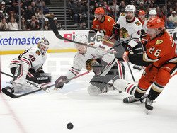 Blackhawks Ducks Hockey