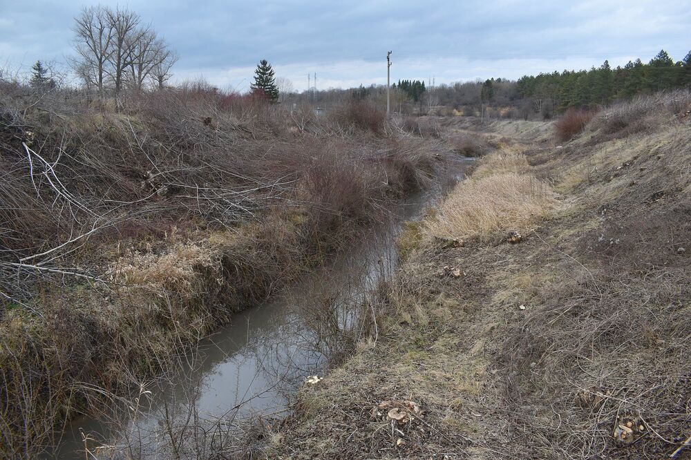 Общинските съветници във Ветово ще обсъдят възможността със средства от местния бюджет да започне почистването на коритото на река Бели Лом край Писанец