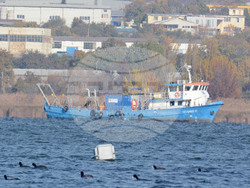 Снимка: Община Варна