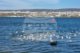 Варна - Тръбопровод - авария