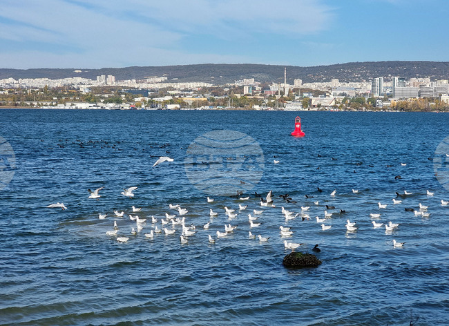 Във Варна започва екоакадемия, ориентирана към корпоративната отговорност за опазване на околната среда 