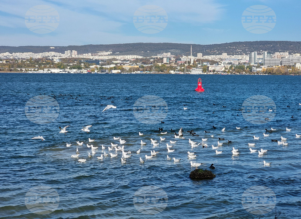 Варна - Тръбопровод - авария