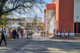 Плевен - Сухопътни войски - изложба