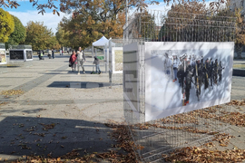 Плевен - Сухопътни войски - изложба