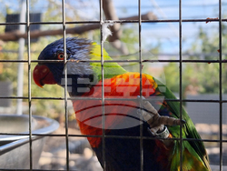 Сливен - зоопарк за екзотични птици „Птичи рай”