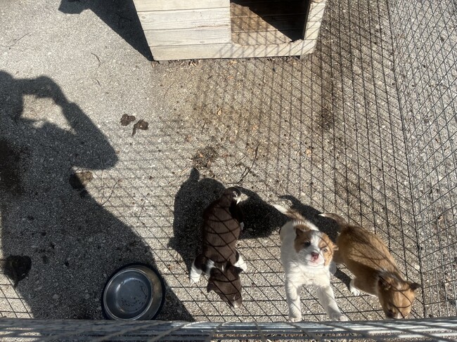  Община Стара Загора: 19 акта за административни нарушения са съставени от проверяващите екипи в Стара Загора