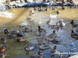 Снимка: Община Сливен