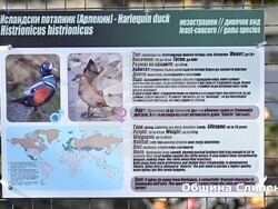 Снимка: Община Сливен