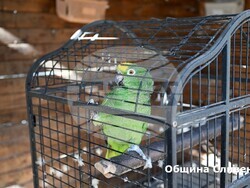 Снимка: Община Сливен