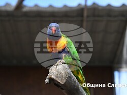 Снимка: Община Сливен