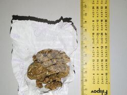 Снимка: МВР